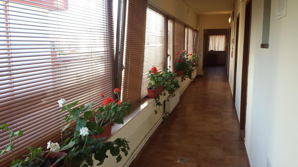 Hostel Nova Route Năvodari 외부 사진